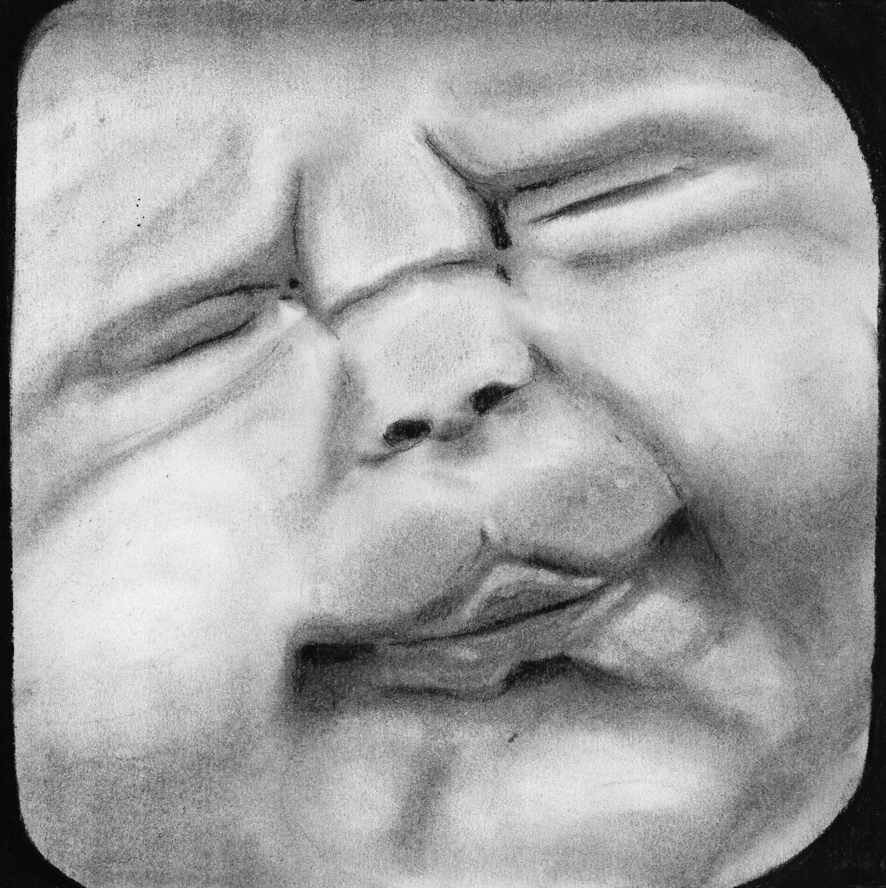 The Face Withi - No.1